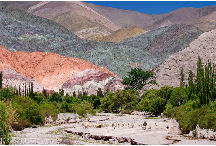 Perfectos colores por todos lados