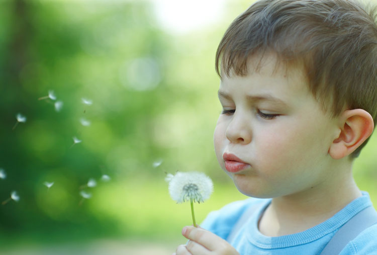 Teorías sobre el autismo