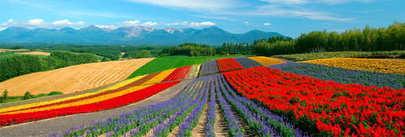 Los lugares más coloridos del mundo, ¡Te enamorarás!
