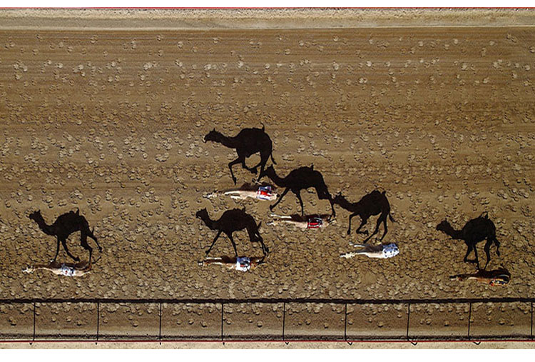 Hipódromo Al Marmoun, Dubai, Emiratos Unidos