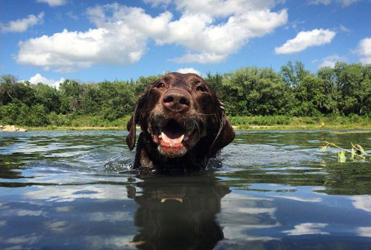 Pura felicidad