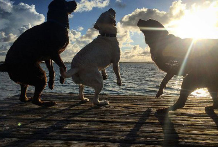 Un buen día con los amigos