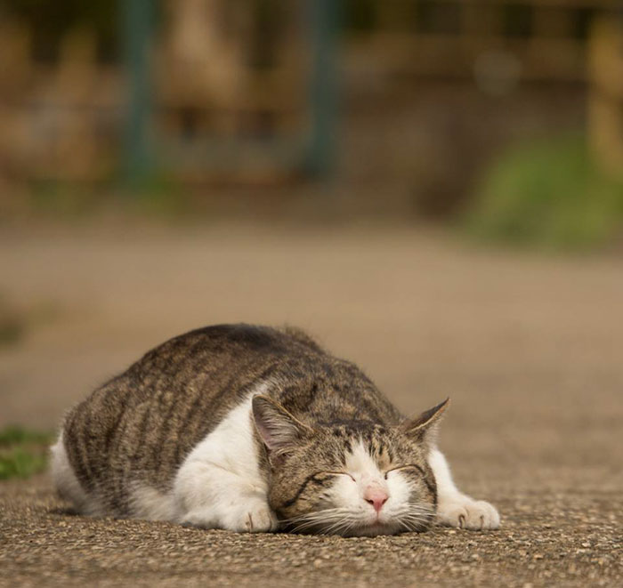 Un merecido descanso