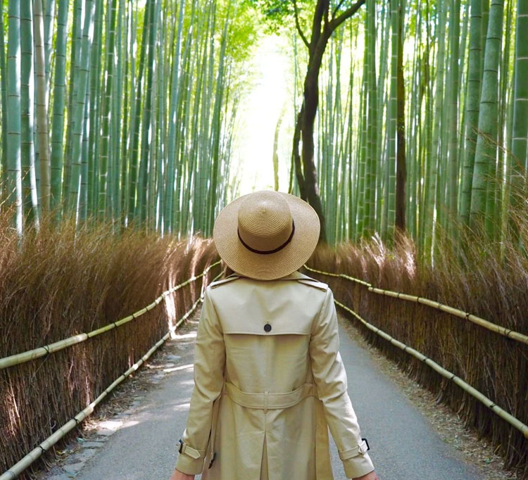 Kyoto, una ciudad encantadora