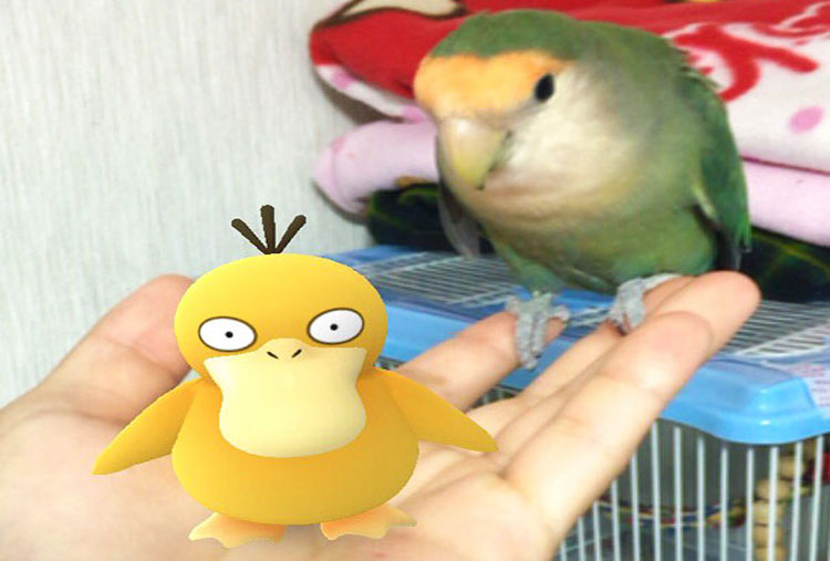 Te presento a Psyduck