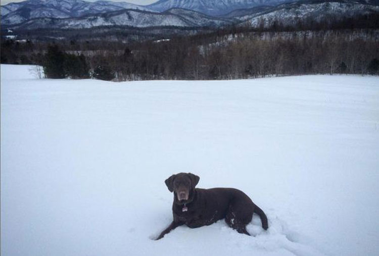 Nieve en Virginia