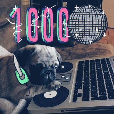 Dj Pug