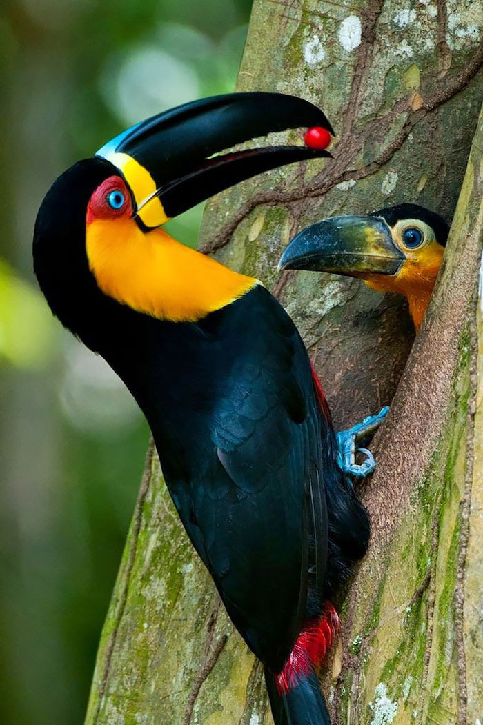 Una familia colorida