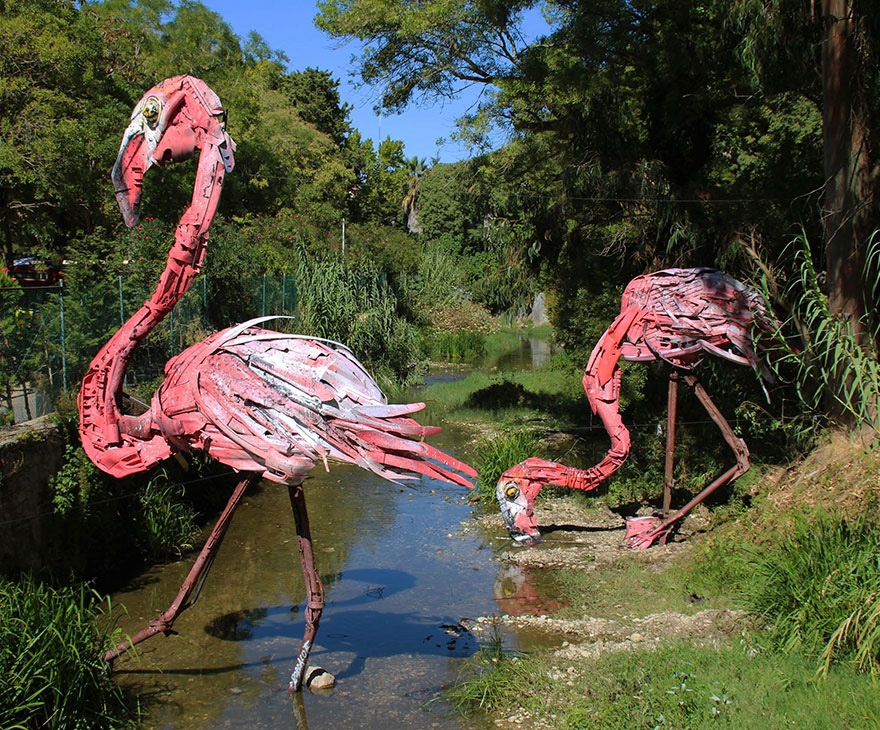 De paseo con los flamengos