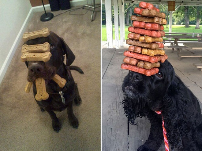 El primero que bote las galletas pierde...