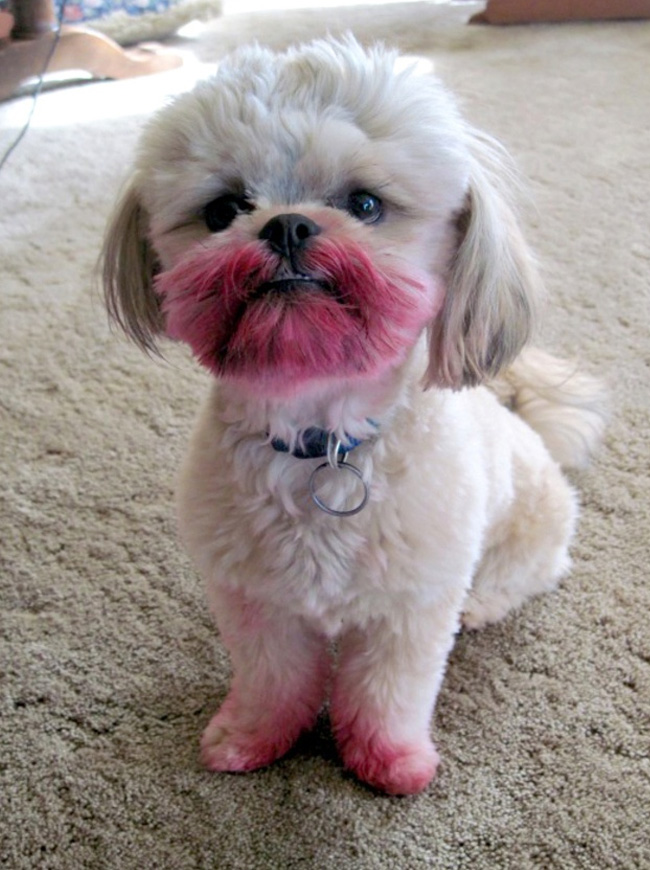 ¿Que tal me miro con este color de labios?