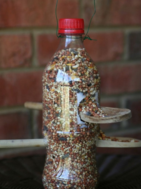 Un restaurante para pajaros