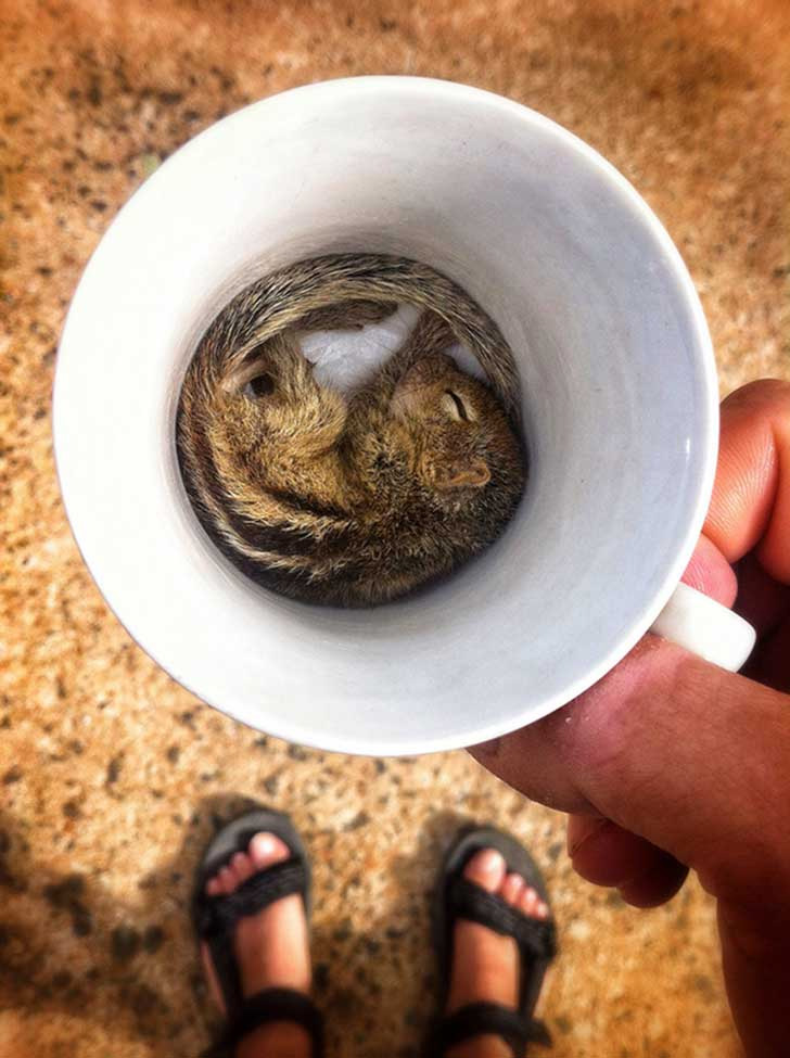 Un taza de café para despertar...