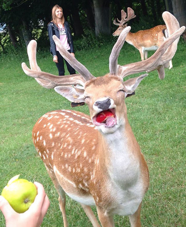 ¡Que rica manzana!