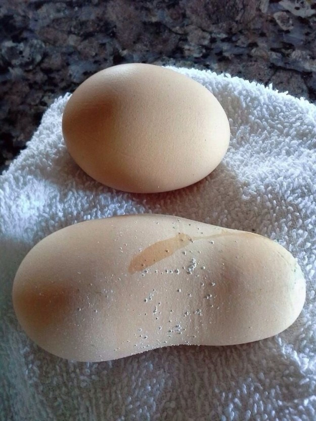 ¿Papa o huevo?
