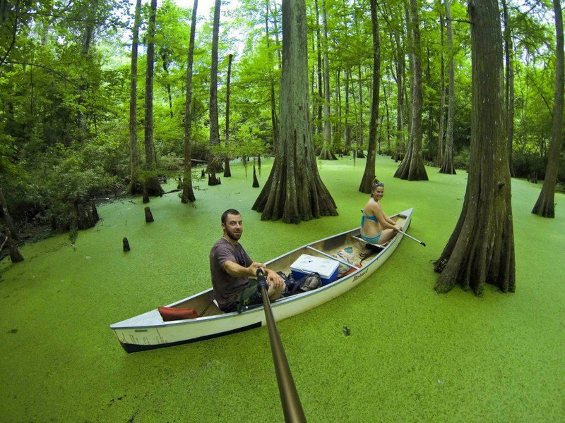 Navegando en medio del bosque