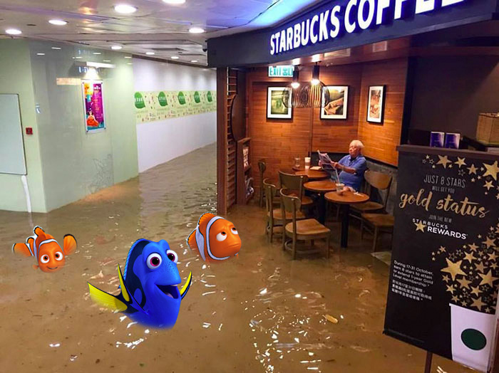 ¿Segura que es por aquí Dory?