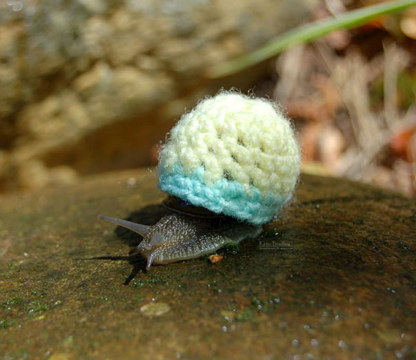 El suéter más pequeño del mundo