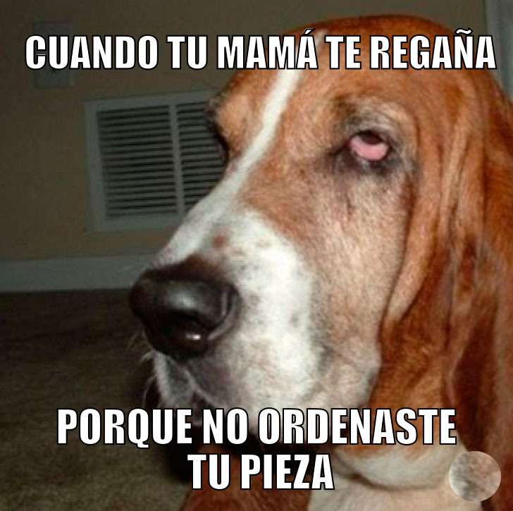 Es que a veces no nos da tiempo...