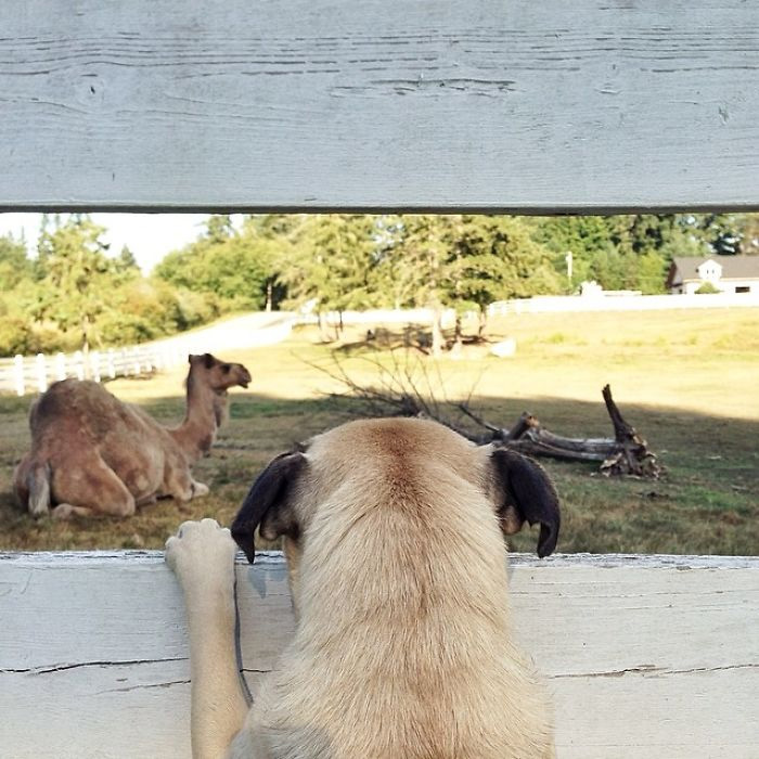 Una visita al Zoo