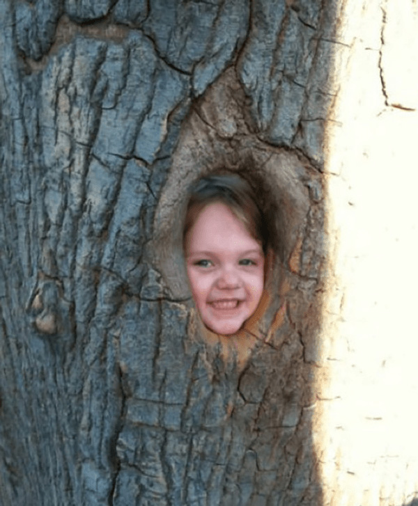 El niño árbol