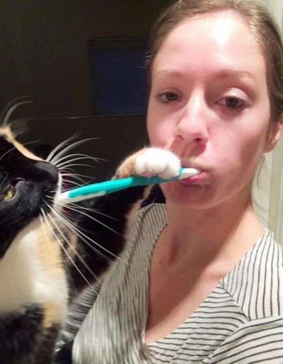 Empiezo a sospechar que los gatos tienen algo contra nuestra higiene personal