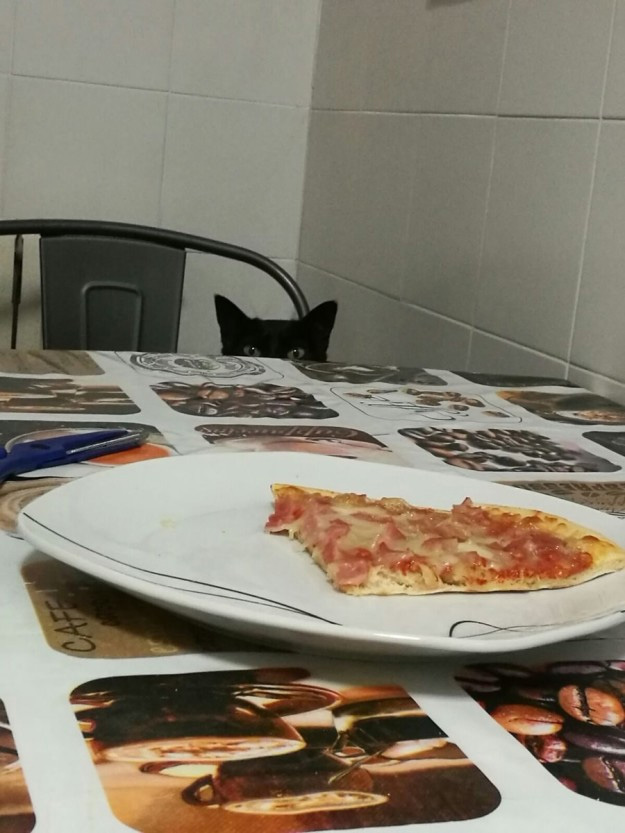 ¿De quien sera ese pedazo de pizza?