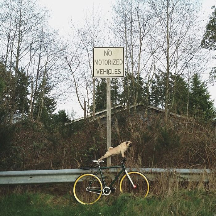 Una vuelta en bicicleta