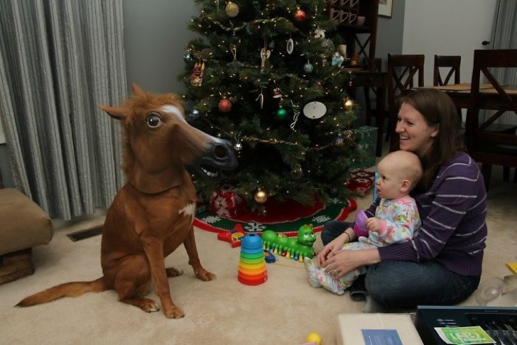 Ella le pidió un pony a Santa Claus...