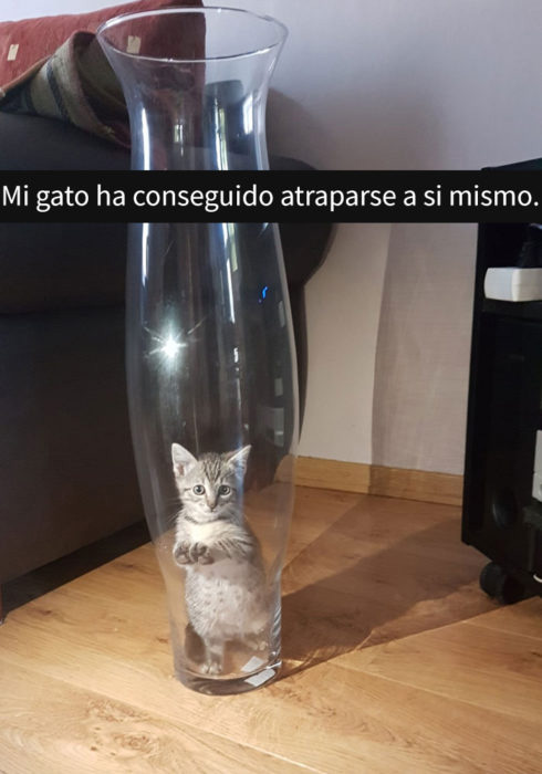 Me hace pensar en una nueva decoración