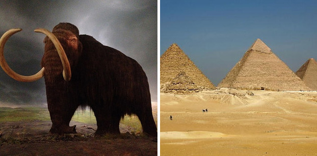 Los mamut lanudos todavía estaban vivos cuando la Gran Pirámide de Guiza fue construida