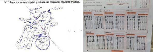 Respuestas de EXÁMENES creativas pero incorrectas