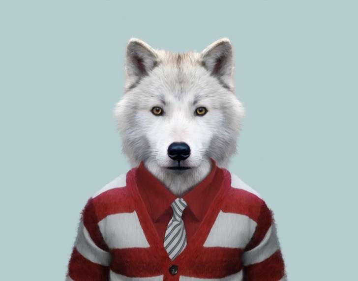 ¡Qué lobo tan moderno!
