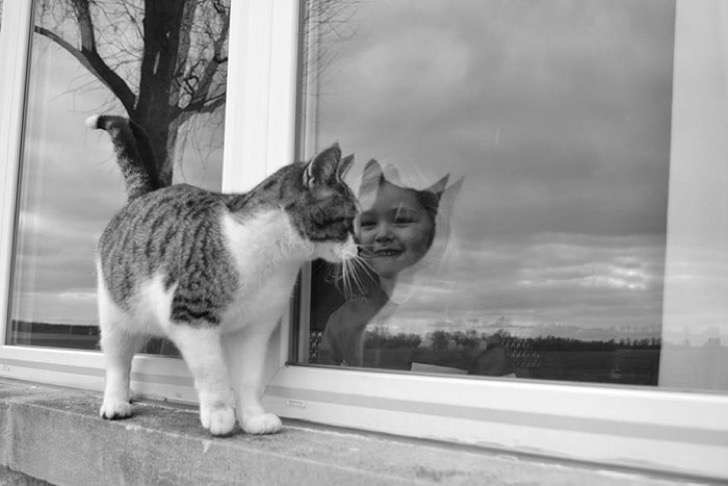 La niña con orejas de gato