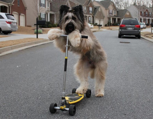 ¡Vamos a dar un paseo!