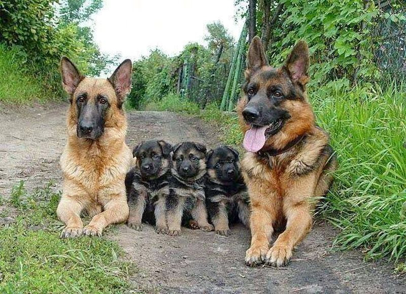 ¡Que bonita familia!