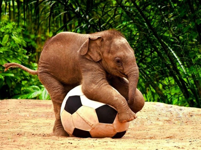 Una futura estrella del fútbol