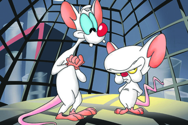 Pinky Y Cerebro - 1995