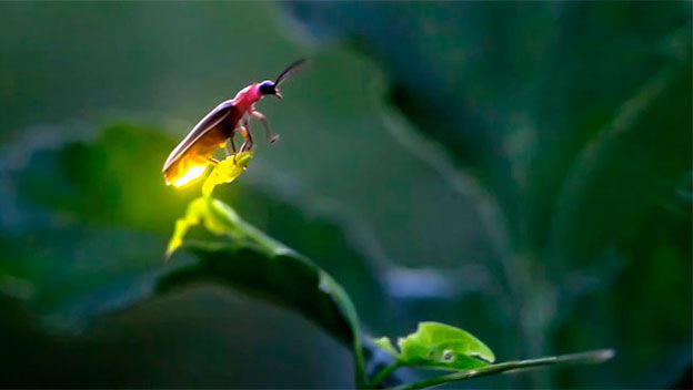 La naturaleza puede ser impresionante