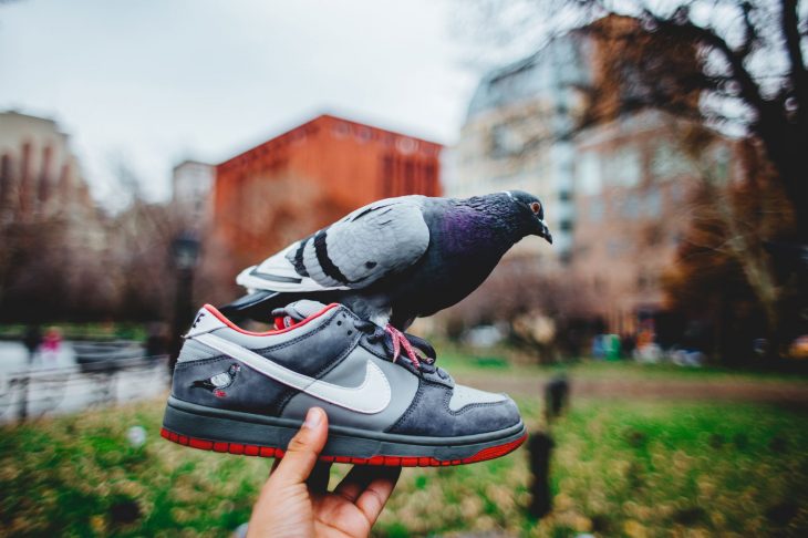 Nike SB Dunk Low Staple Pigeon - 5.900 dólares