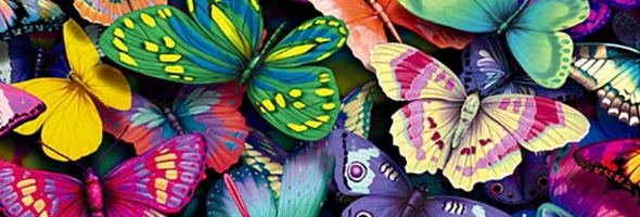 Significado de las mariposas y sus colores
