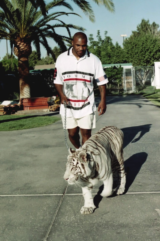 El Tigre Blanco de Mike Tyson