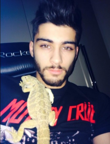 La Mascota de Zayn Malik