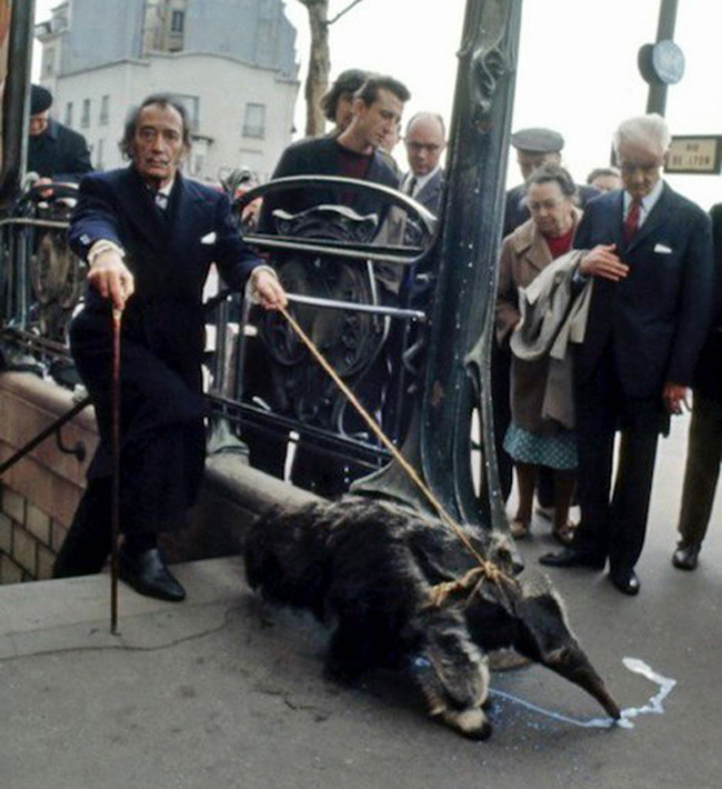 La Curiosa Mascota de Salvador DalÍ