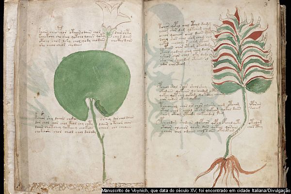 El extraño manuscrito de Voynich
