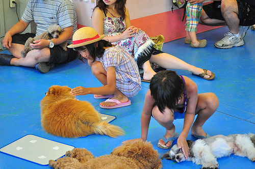 Se alquilan mascotas por hora