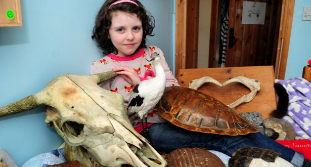 La niña que descubrió una nueva especie de dinosaurio