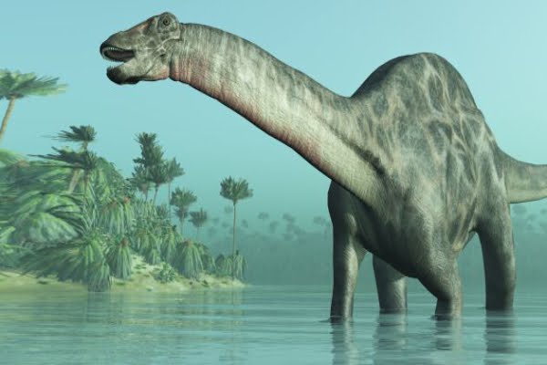 Casi todos los dinosaurios se extinguieron, pero quedó una especie