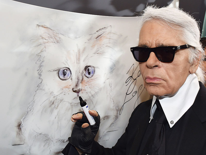 Ser mascota del diseñador Karl Lagerfeld tiene sus ventajas