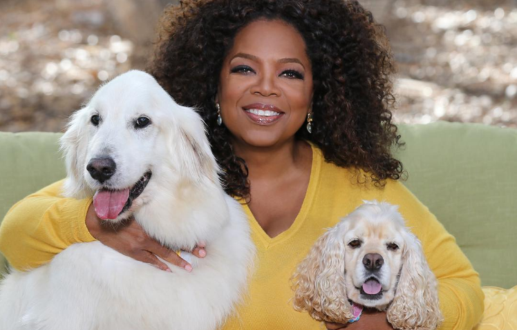 ¡Oprah Winfrey y sus perros millonarios!